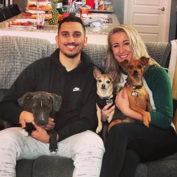 Meet your Posher, Taylor - Picture 1 of 1